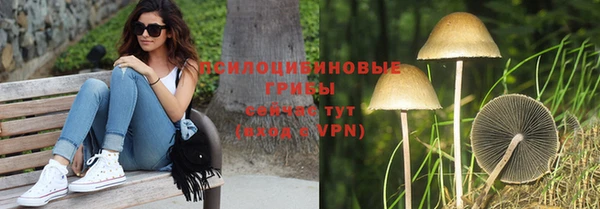 spice Алексеевка