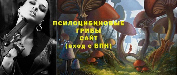 spice Алексеевка