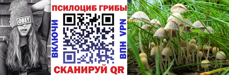 Галлюциногенные грибы ЛСД  цена наркотик  Сясьстрой 